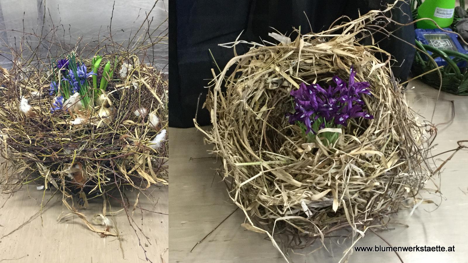 Nest Nest