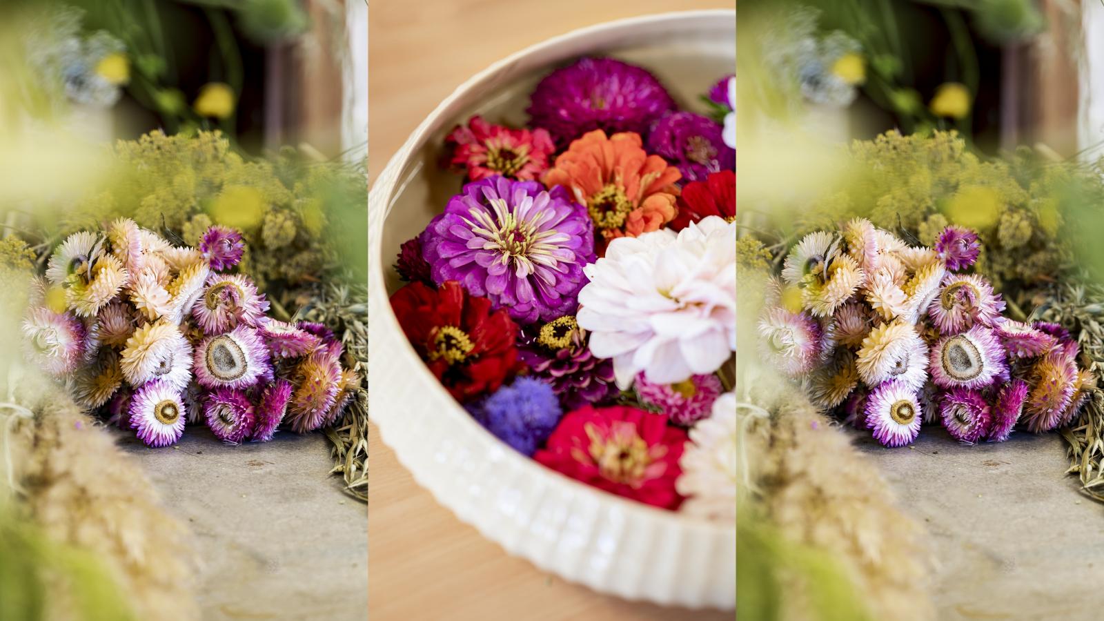 Herbstblumen Strohblumen und Astern