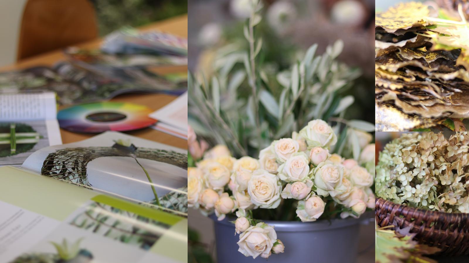 Rückmeldung  Feedback