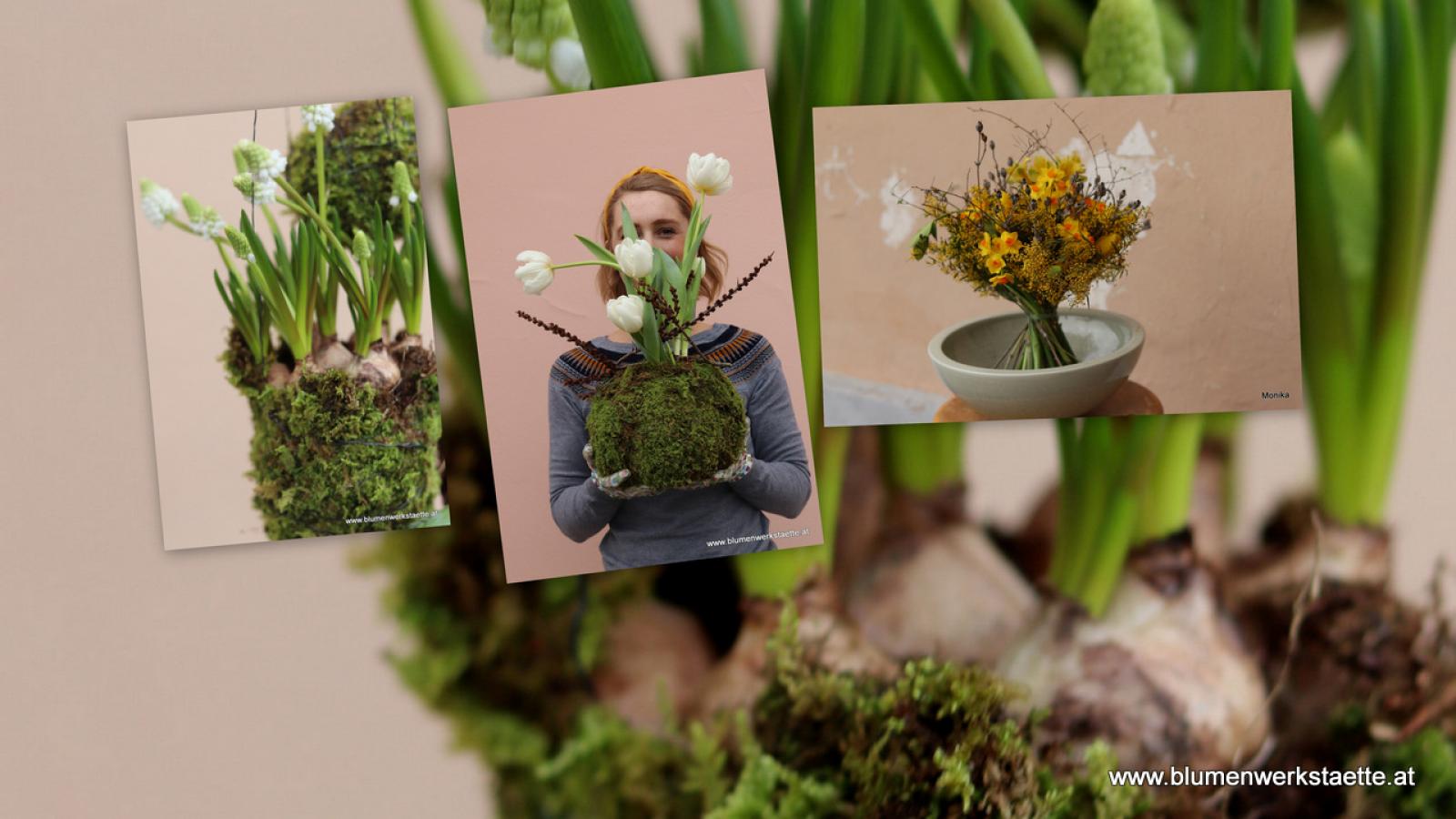 Frühlingsboten Frühlingsboten