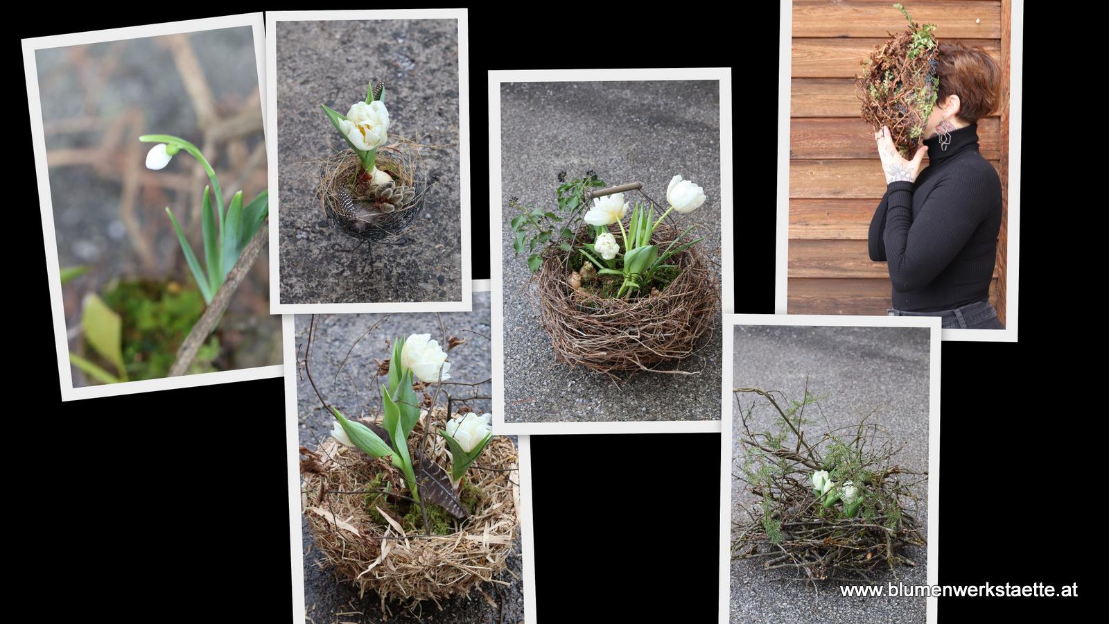 Nest mit Tulpen Nest mit Tulpen