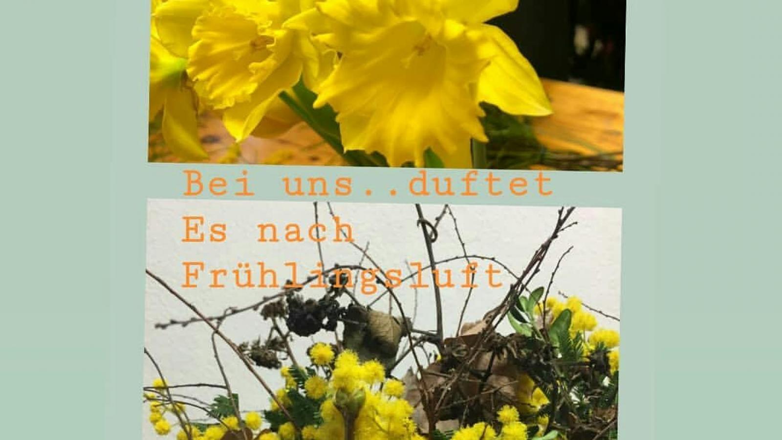 Frühling Frühling