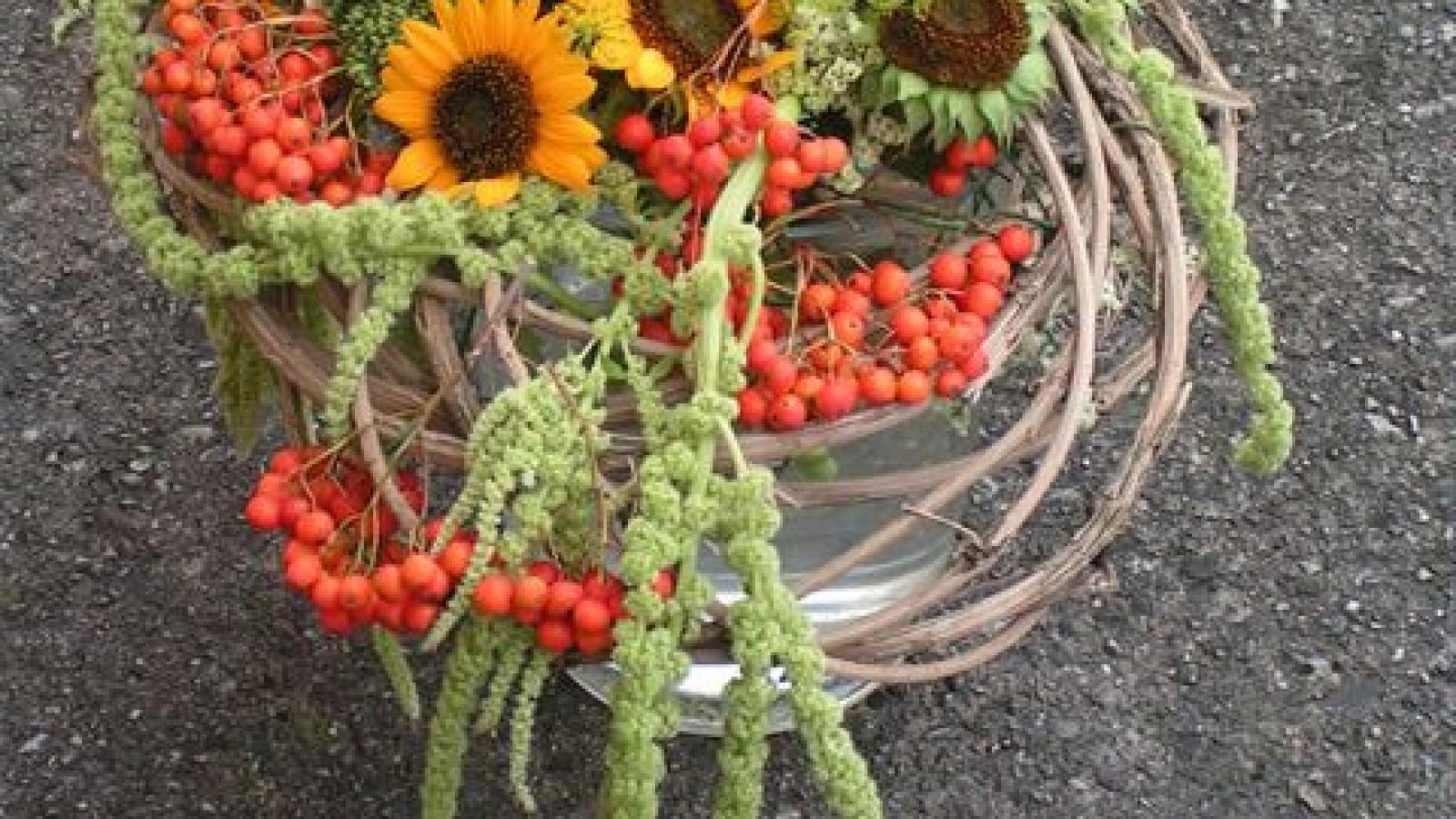Sonnenblumen Sonnenblumen
